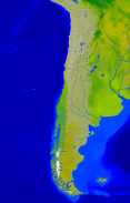Chile Vegetation 2550x4000